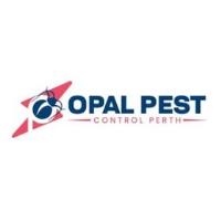 Opal Pest Control Perth image 6